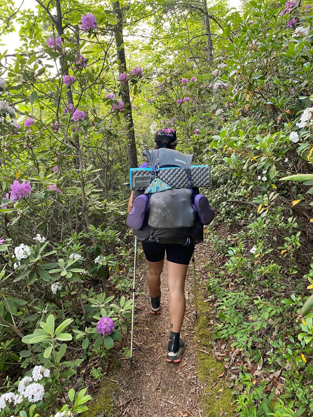 AT Gear Review: Part&nbsp;1