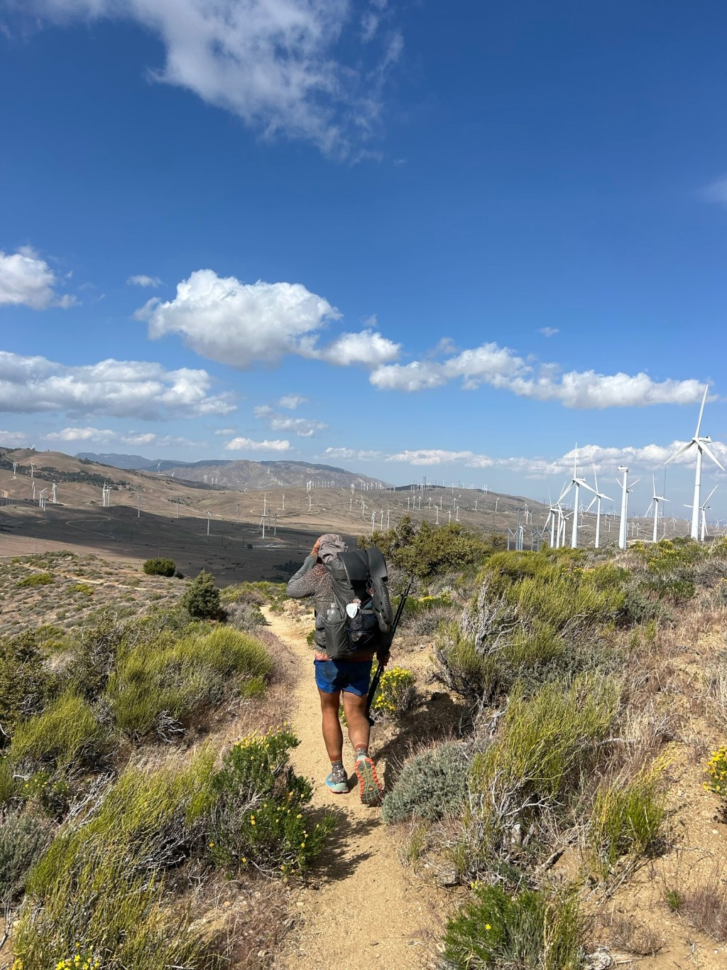 Magic on the PCT Days 40-42